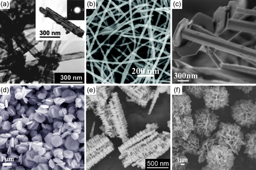 Six S E M / T E M images of different nanostructures.