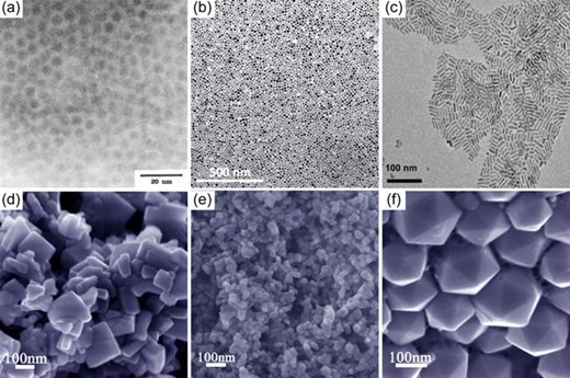 Six S E M / T E M images of different metal chalcogenides.